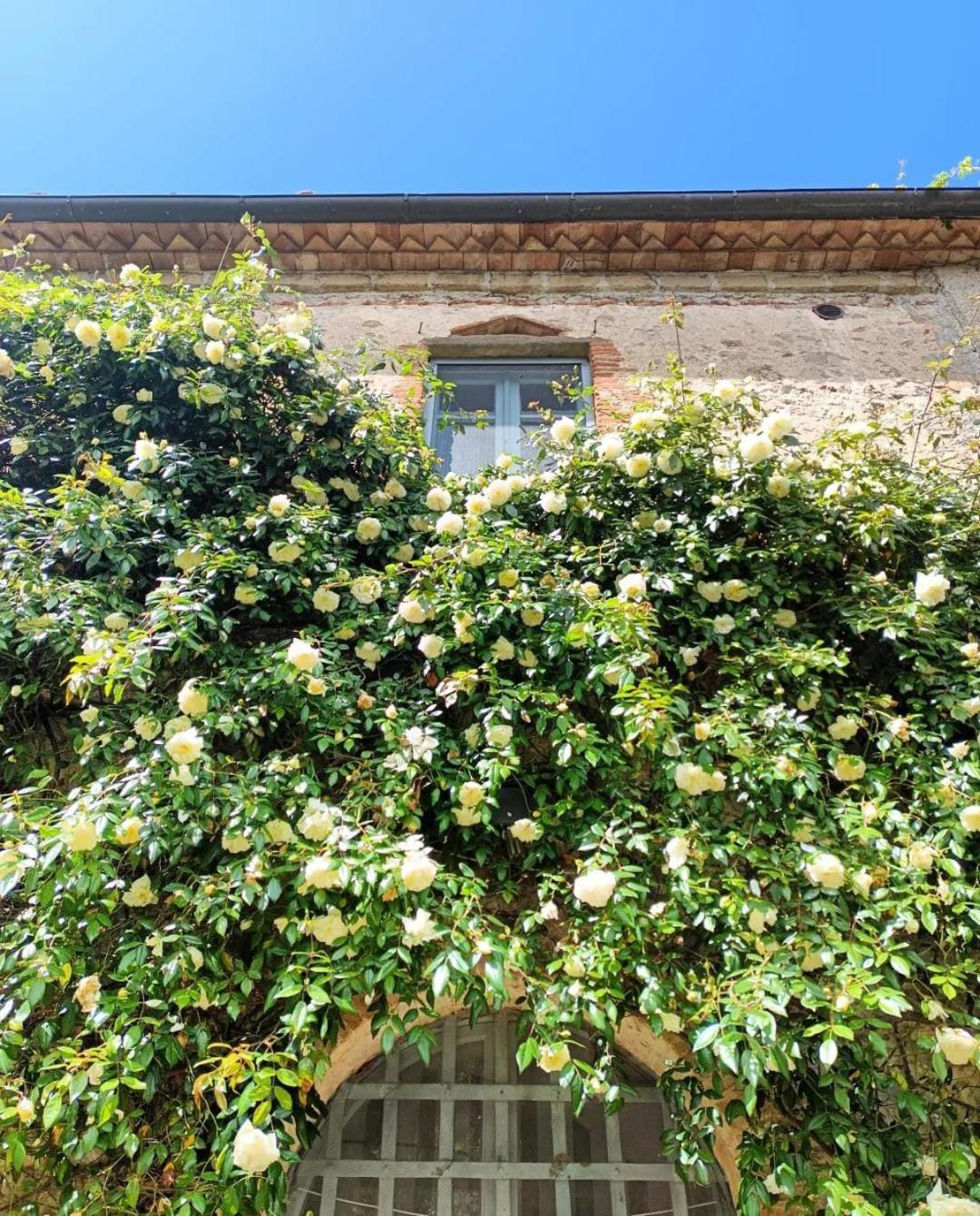 曼恰诺Il Poggio Di Teo别墅 外观 照片