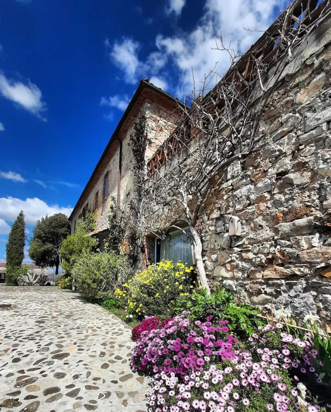 曼恰诺Il Poggio Di Teo别墅 外观 照片